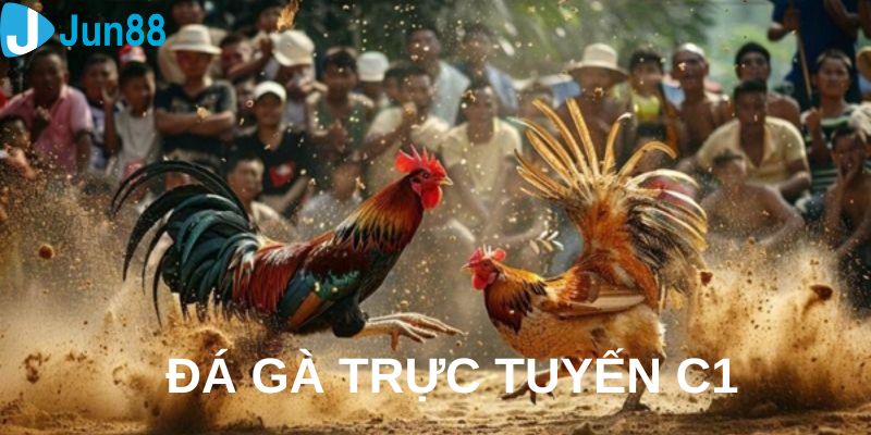 Đá gà trực tuyến c1 là gì?