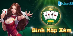 Định nghĩa binh xập xám là gì?