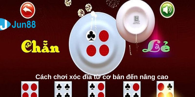 Hướng dẫn chơi xóc đĩa từ cơ bản đến nâng cao