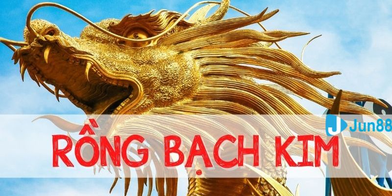 Soi cầu rồng bạch kim từ nhà cái Jun88 uy tín chất lượng