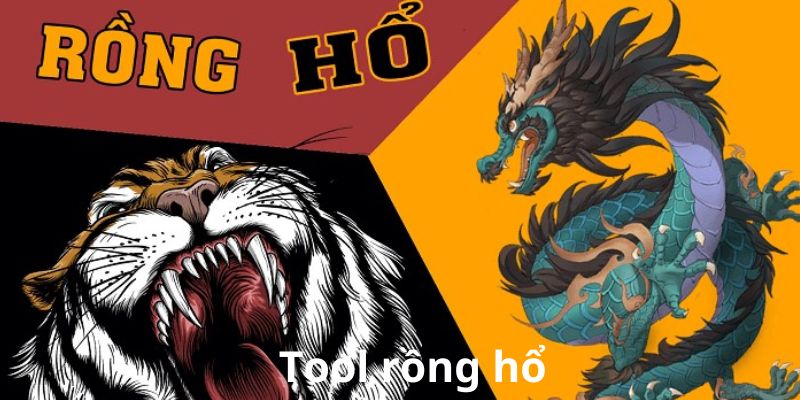 Tool rồng hổ là gì?